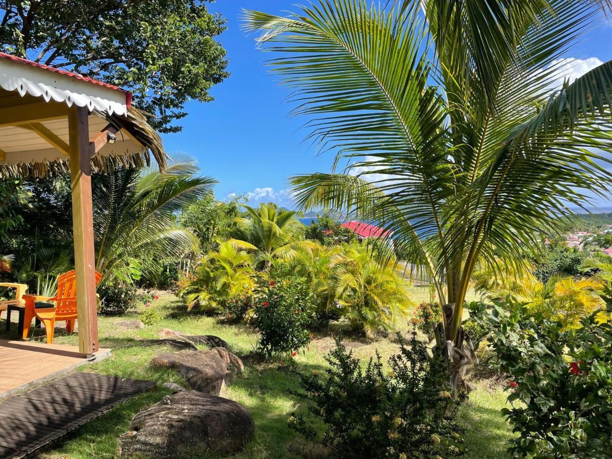 Résidence COCO D'ILES, Gite TI BAMBOU Terre-de-Bas Esterno foto